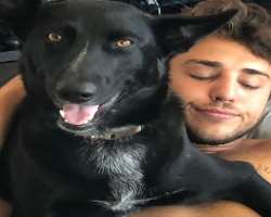 He also has a big black dog in his home.